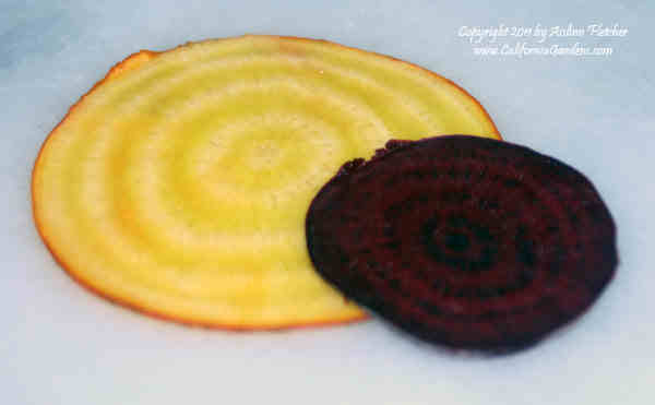 Beet Chips