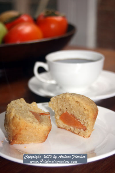 Fuyu Persimmon Muffins