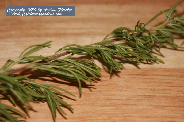 Rosemary Ice Cream