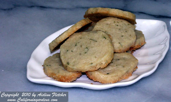 Rosemary Cookies