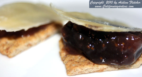 Savory Black Mission Fig Jam