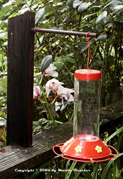 Hummingbird Feeder